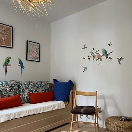 Appartement Balinais Lumineux Et Calme Avignon Buitenkant foto